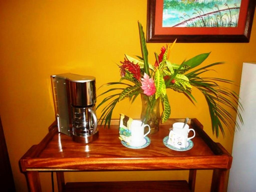Inn On The Park Manuel Antonio Ruang foto