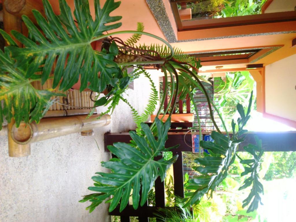 Inn On The Park Manuel Antonio Bagian luar foto