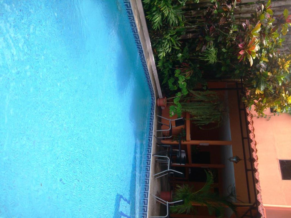 Inn On The Park Manuel Antonio Bagian luar foto